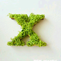 木製字母對象（苔蘚）5 厘米“X”x 1 點 第1張的照片