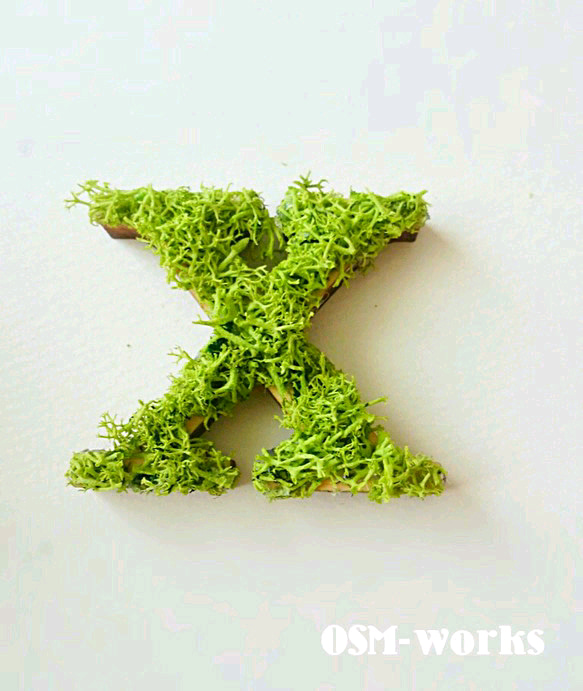 木製字母對象（苔蘚）5 厘米“X”x 1 點 第1張的照片