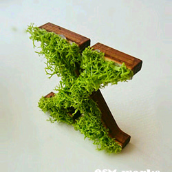 木製  アルファベットオブジェ(モス)５cm『Ｘ』×1点 2枚目の画像