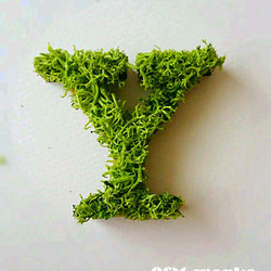 木製  アルファベットオブジェ(モス)５cm『Ｙ』×1点 1枚目の画像