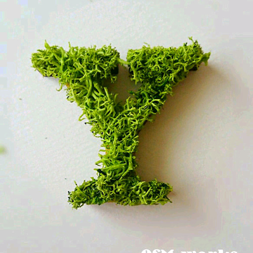 木製 アルファベットオブジェ(モス)5cm『Y』×1点 ウェルカム 木製 アルファベットオブジェ(モス)5cm『Y』×1点 ウェルカム
