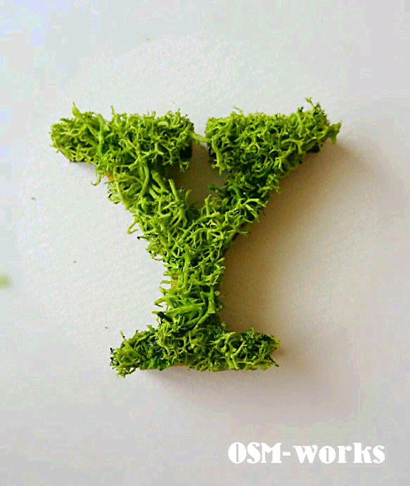 木製 アルファベットオブジェ(モス)5cm『Y』×1点 ウェルカムボード