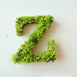 木製字母對象（苔蘚）5 厘米“Z”x 1 點 第1張的照片