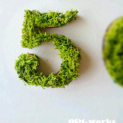 木製 数字 オブジェ(モス)5cm『5』×1点 ウェルカムボード OSM-works