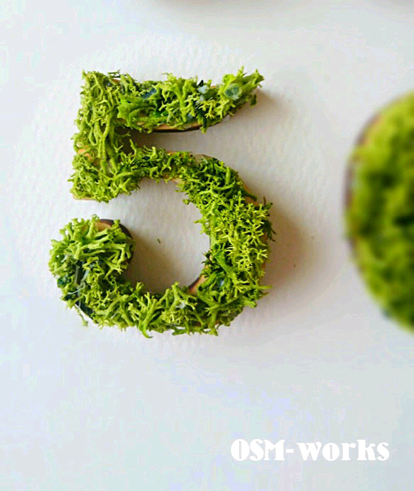 木製 数字 オブジェ(モス)5cm『5』×1点 ウェルカムボード OSM-works