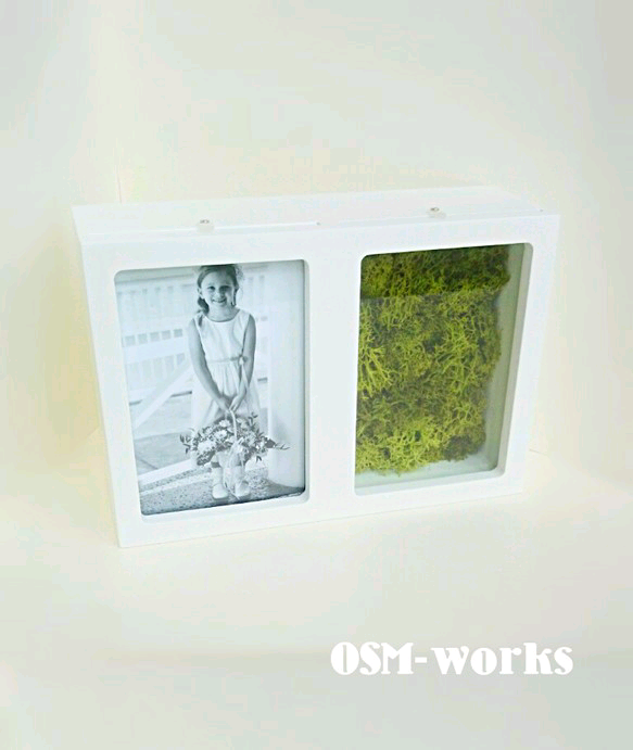 フォトボックス  Ｌ判(モス)