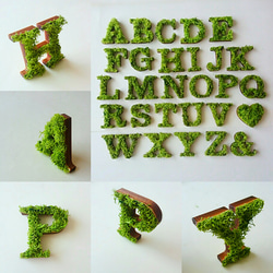 木製  アルファベットオブジェ(モス)選べる5個セット 1枚目の画像
