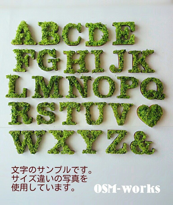 木製オブジェ(モス)ＬＬサイズ(30cm)×１点 『０・１・２・３・４』 モス 木製オブジェ ＬＬサイズ 30cm 『０