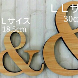 木製オブジェ(モス)ＬＬサイズ(30cm)×１点 『５・６・７・８・９』 3枚目の画像