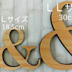 木製オブジェ(モス)Ｌサイズ(18.5cm)×１点 『Ｆ・Ｇ・Ｈ・Ｉ・Ｊ』 3枚目の画像