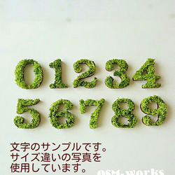 木製物品 (苔蘚) L 尺寸 (18.5 公分) x 1 件“0,1,2,3,4” 第2張的照片