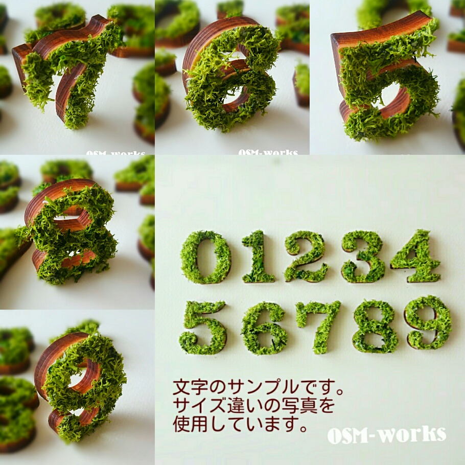 木製オブジェ(モス)Ｌサイズ(18.5cm)×１点 『５・６・７・８・９』