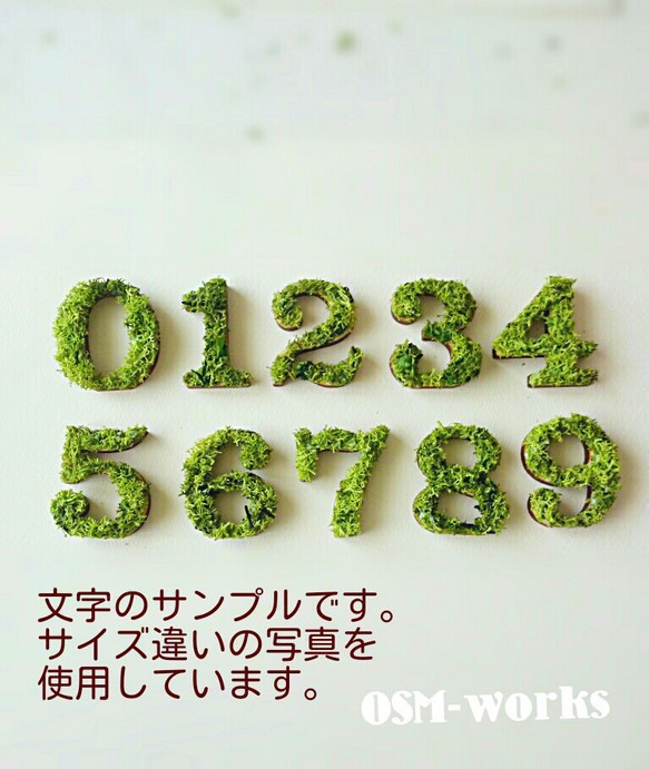 木製物品 (苔蘚) L 尺寸 (18.5 公分) x 1 件“5,6,7,8,9” 第2張的照片