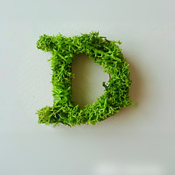 木製字母對象（苔蘚）3厘米“ D” x 1 第1張的照片