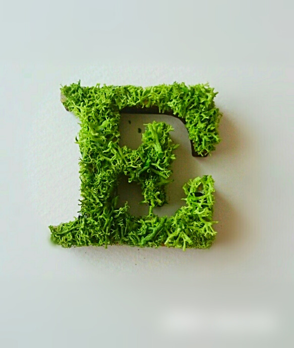 木製字母對象（苔蘚）3cm“ E” x 1 第1張的照片