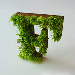 木製  アルファベットオブジェ(モス)３cm『Ｆ』×1点 2枚目の画像