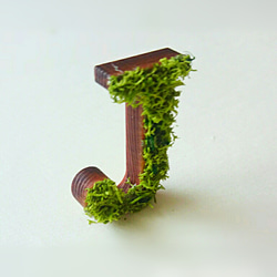 木製字母對象（苔蘚）3cm“ J” x 1 第3張的照片