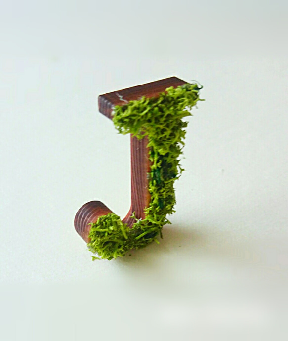 木製字母對象（苔蘚）3cm“ J” x 1 第3張的照片