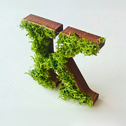木製字母對象（苔蘚）3厘米“ K” x 1 第3張的照片