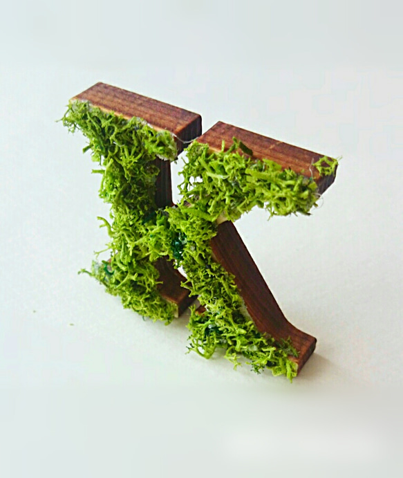 木製字母對象（苔蘚）3厘米“ K” x 1 第3張的照片