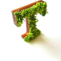 木製字母物件（苔蘚）3厘米“ T” x 1 第2張的照片