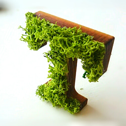 木製字母物件（苔蘚）3厘米“ T” x 1 第3張的照片