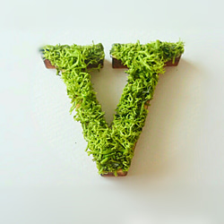 木製字母對象（苔蘚）3cm“ V” x 1 第1張的照片