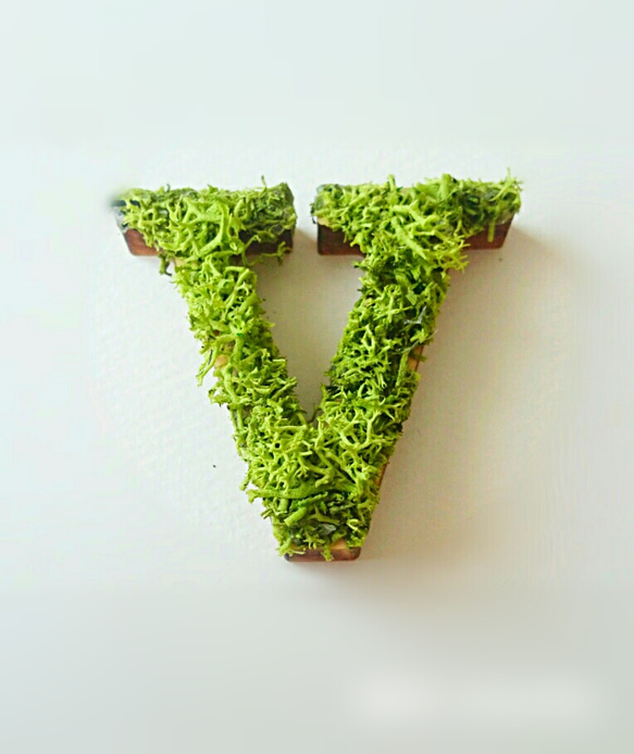 木製字母對象（苔蘚）3cm“ V” x 1 第1張的照片