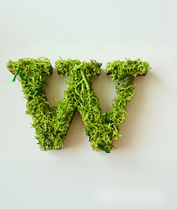 木製字母對象（苔蘚）3cm“ W” x 1 第1張的照片