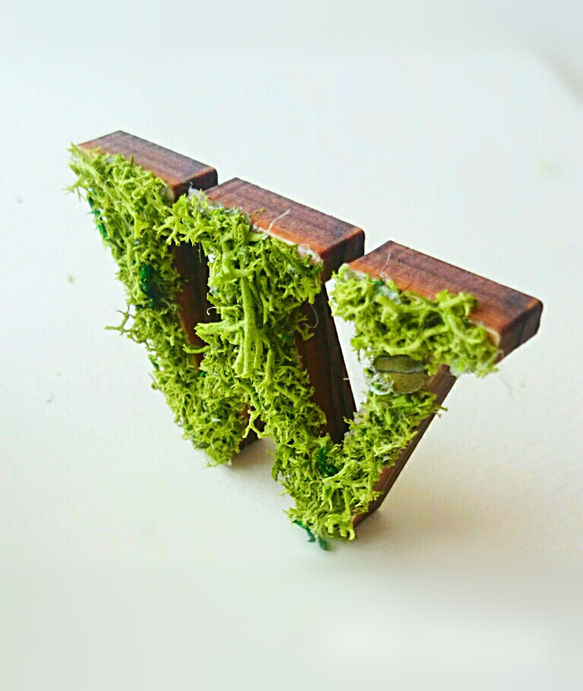 木製字母對象（苔蘚）3cm“ W” x 1 第3張的照片