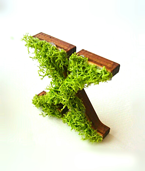 木製  アルファベットオブジェ(モス)３cm『Ｘ』×1点 2枚目の画像