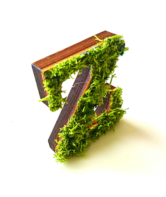 木製字母對象（苔蘚）3cm“ Z” x 1 第2張的照片