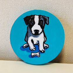 癒しの犬たちと心を整えるアファメーションカード20選 イラスト Tama