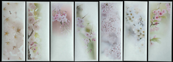 春を彩る桜の写真を使った一筆箋と封筒 2枚目の画像