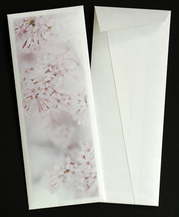 春を彩る桜の写真を使った一筆箋と封筒 4枚目の画像