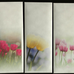 春の花壇を彩るチュウリップの写真を使った一筆箋と封筒 2枚目の画像