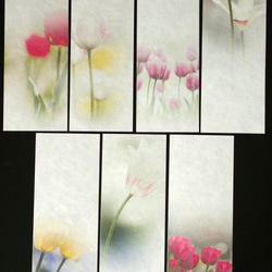 春の花壇を彩るチュウリップの写真を使った一筆箋と封筒 1枚目の画像