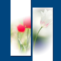 春の花壇を彩るチュウリップの写真を使った一筆箋と封筒 3枚目の画像