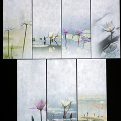 一筆箋”睡蓮”、水辺の睡蓮の花の写真を使った一筆箋 2枚目の画像