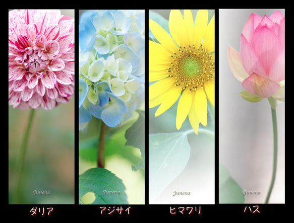 １６種類のお花の”しおり” 1枚目の画像