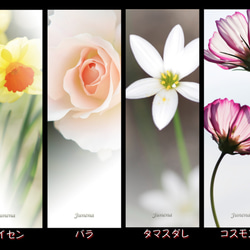１６種類のお花の”しおり” 4枚目の画像