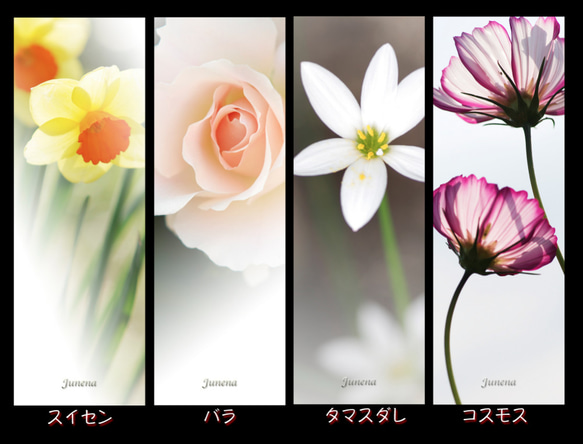 １６種類のお花の”しおり” 4枚目の画像