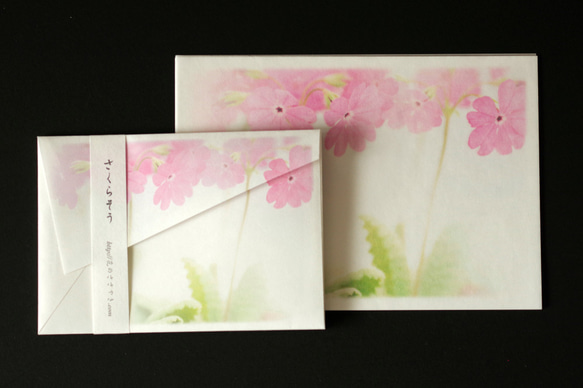 ピンクの桜草のお手紙セット 2枚目の画像