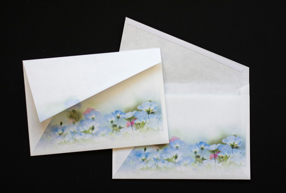 青いネモフィラ畑のお手紙セット 3枚目の画像