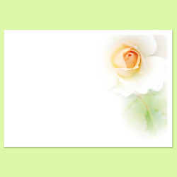 淡いオレンジ色の薔薇のお手紙セット 1枚目の画像