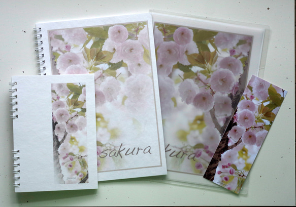 満開の八重桜のA5ノート、メモノート、しおり、クリアファイル 1枚目の画像