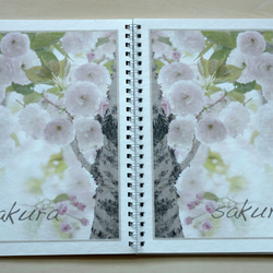 満開の八重桜のA5ノート、メモノート、しおり、クリアファイル 2枚目の画像