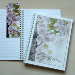 満開の八重桜のA5ノート、メモノート、しおり、クリアファイル 3枚目の画像