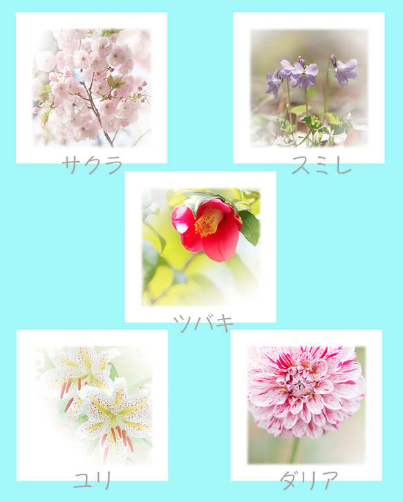１３種類のお花から２種類を選べる可愛いお花のメモ帳 4枚目の画像