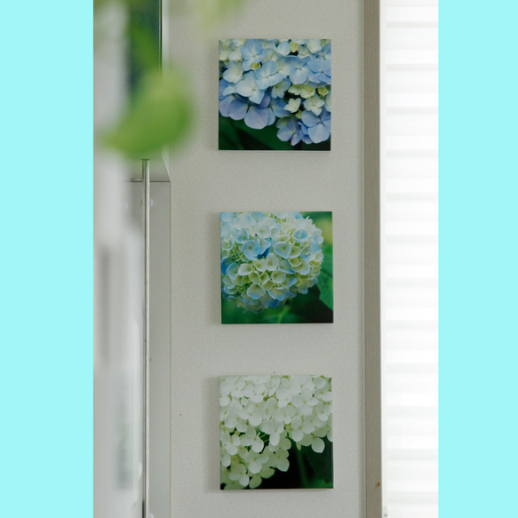 お部屋を彩る紫陽花のパネル（青、水色、白） 1枚目の画像